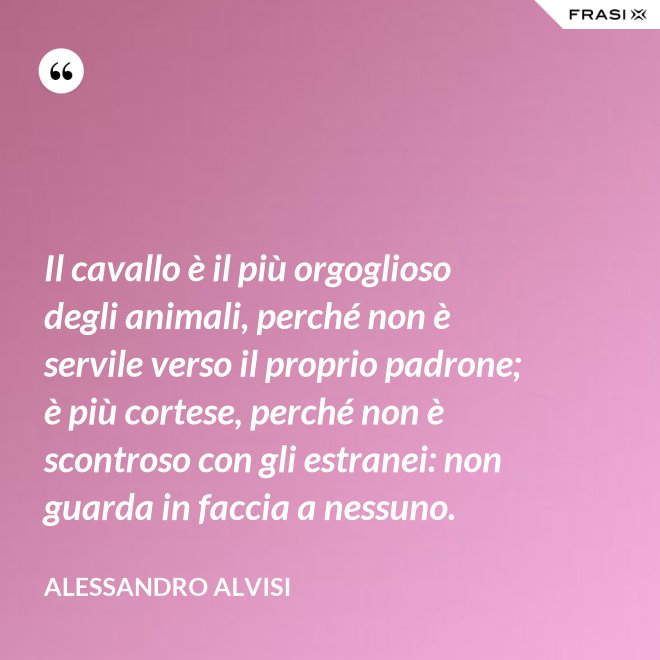 Il cavallo è il più orgoglioso degli animali, perché non è servile verso il proprio padrone; è più cortese, perché non è scontroso con gli estranei: non guarda in faccia a nessuno. - Alessandro Alvisi