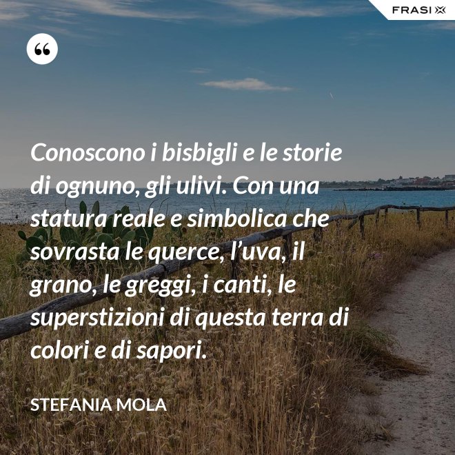 Conoscono i bisbigli e le storie di ognuno, gli ulivi. Con una statura reale e simbolica che sovrasta le querce, l’uva, il grano, le greggi, i canti, le superstizioni di questa terra di colori e di sapori. - Stefania Mola