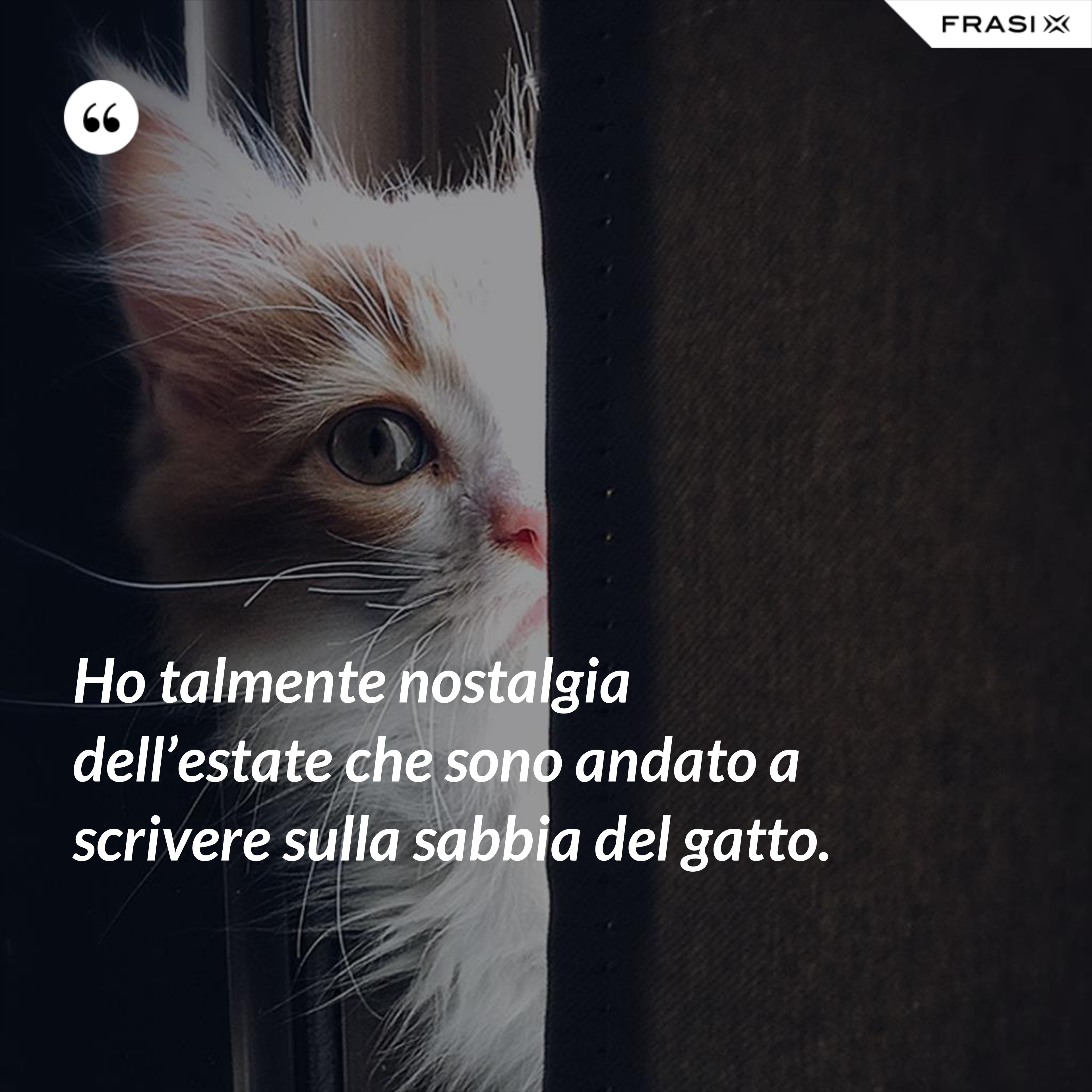 Ho talmente nostalgia dell’estate che sono andato a scrivere sulla sabbia del gatto. - Anonimo