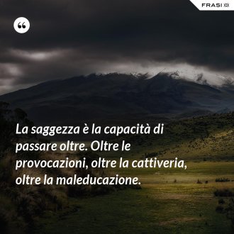 La saggezza è la capacità di passare oltre. Oltre le provocazioni, oltre la cattiveria, oltre la maleducazione. - Anonimo