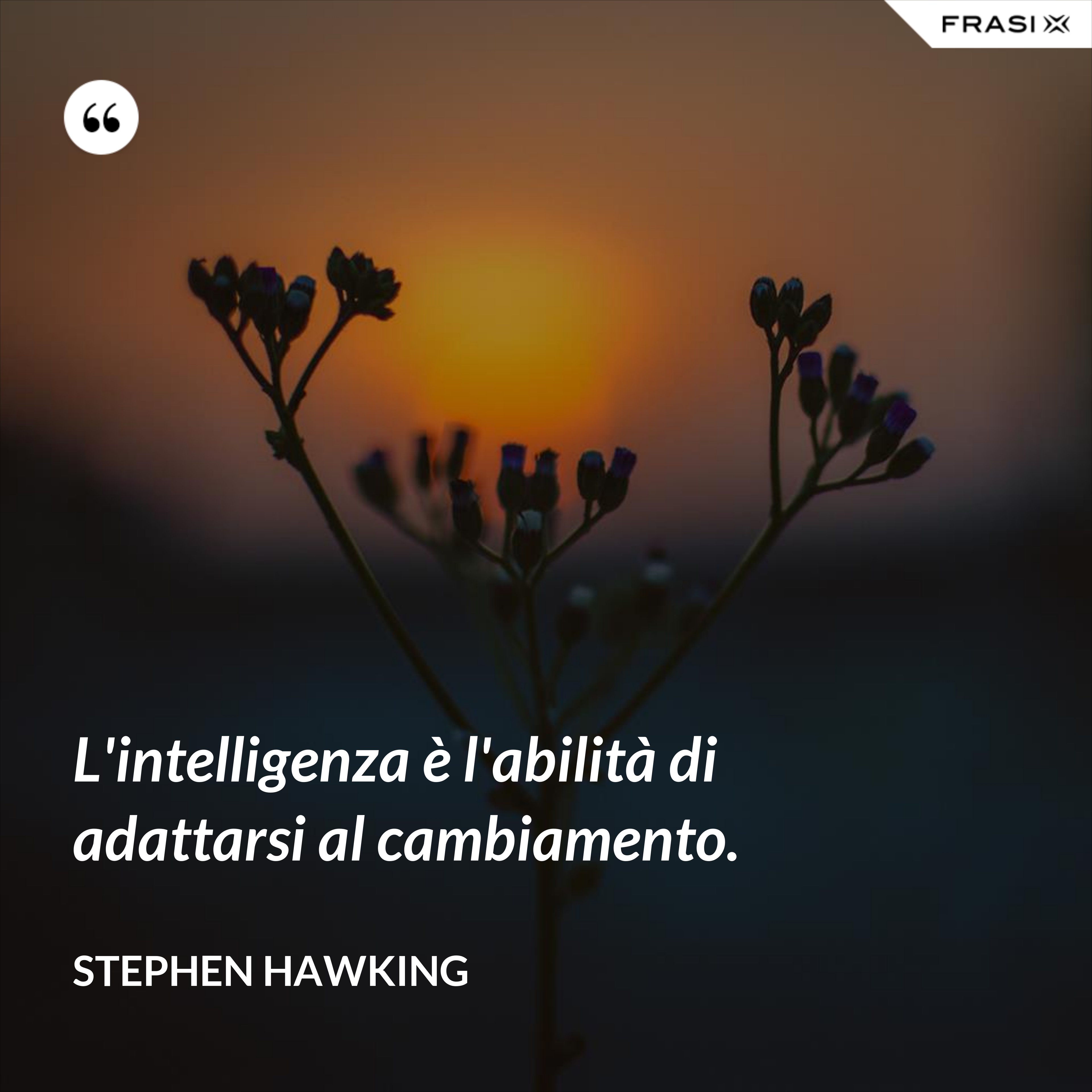 L'intelligenza è l'abilità di adattarsi al cambiamento. - Stephen Hawking