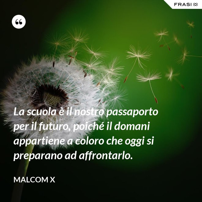 La scuola è il nostro passaporto per il futuro, poiché il domani appartiene a coloro che oggi si preparano ad affrontarlo. - Malcom X