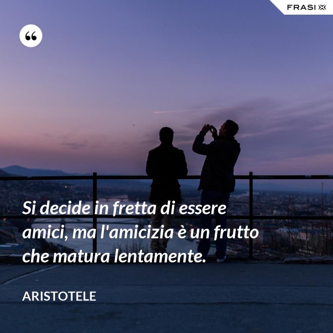 Si decide in fretta di essere amici, ma l'amicizia è un frutto che matura lentamente. - Aristotele