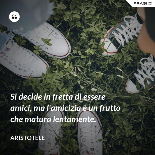 Si decide in fretta di essere amici, ma l'amicizia è un frutto che matura lentamente. - Aristotele
