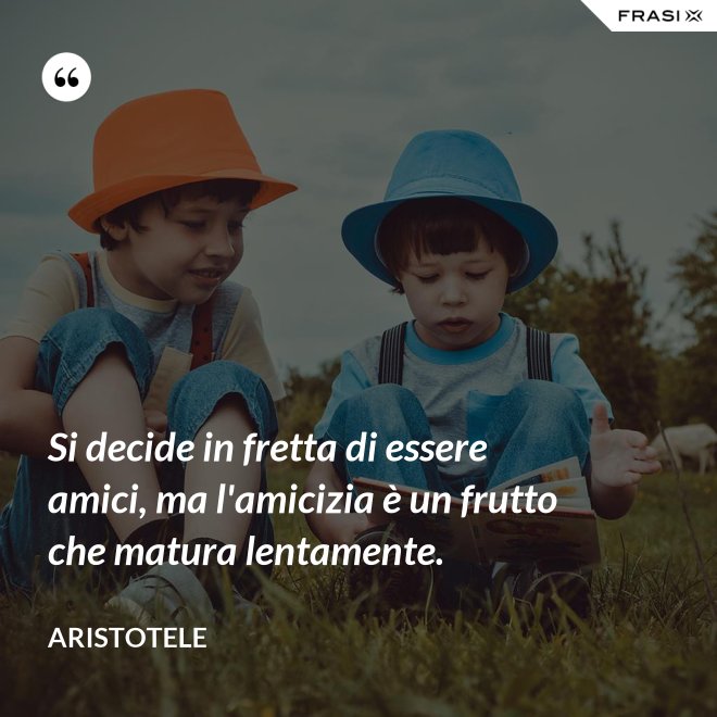 Si decide in fretta di essere amici, ma l'amicizia è un frutto che matura lentamente. - Aristotele