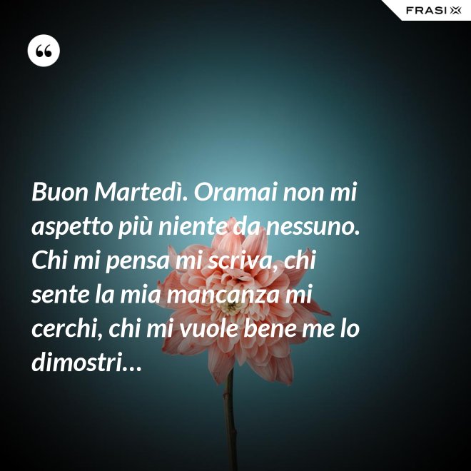 Buon Martedì. Oramai non mi aspetto più niente da nessuno. Chi mi pensa mi scriva, chi sente la mia mancanza mi cerchi, chi mi vuole bene me lo dimostri… - Anonimo