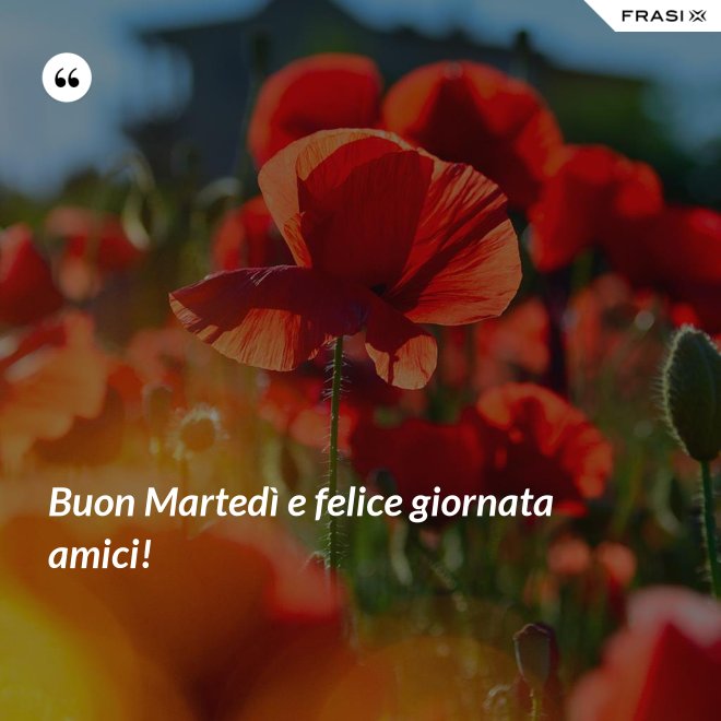 Buon Martedì e felice giornata amici! - Anonimo