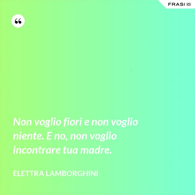 Non voglio fiori e non voglio niente. E no, non voglio incontrare tua madre. - Elettra Lamborghini