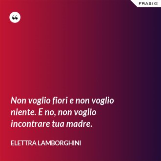 Non voglio fiori e non voglio niente. E no, non voglio incontrare tua madre. - Elettra Lamborghini
