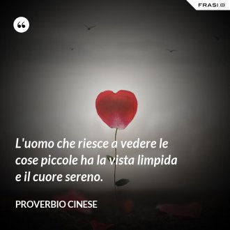 L'uomo che riesce a vedere le cose piccole ha la vista limpida e il cuore sereno. - Proverbio cinese
