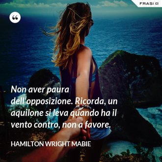 Non aver paura dell'opposizione. Ricorda, un aquilone si leva quando ha il vento contro, non a favore. - Hamilton Wright Mabie