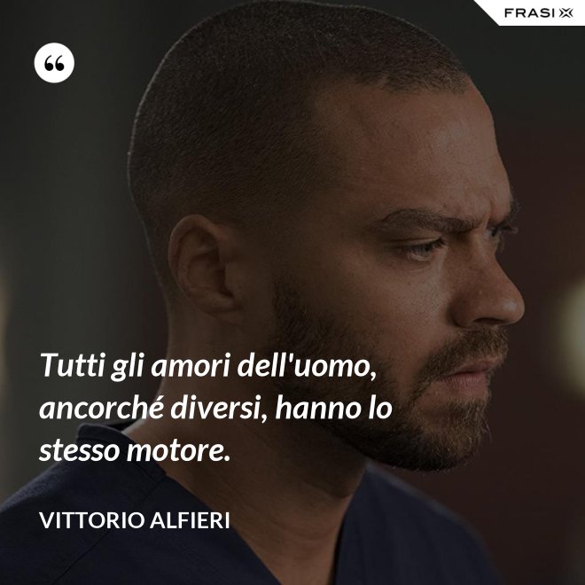 Tutti gli amori dell'uomo, ancorché diversi, hanno lo stesso motore. - Vittorio Alfieri
