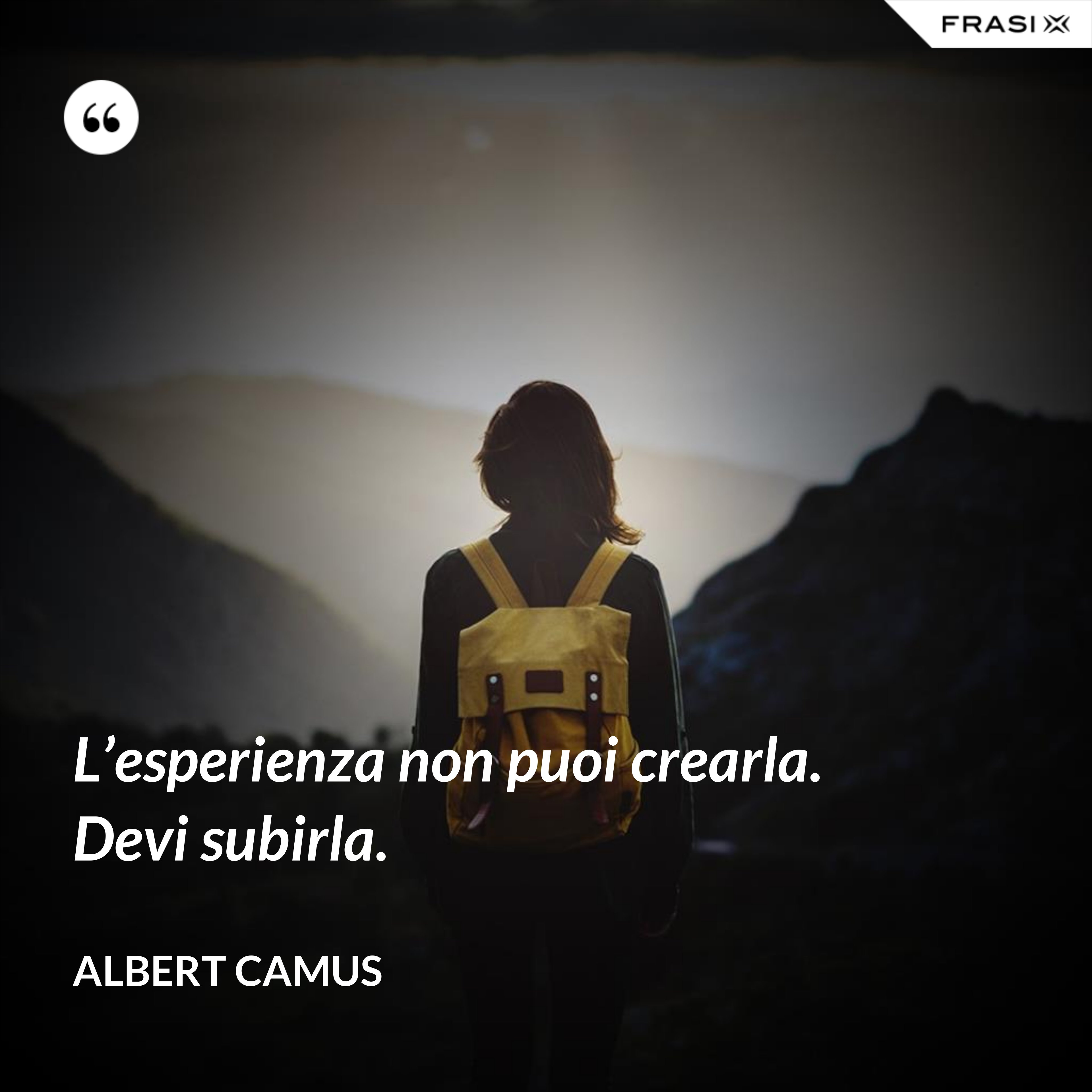 L’esperienza non puoi crearla. Devi subirla. - Albert Camus