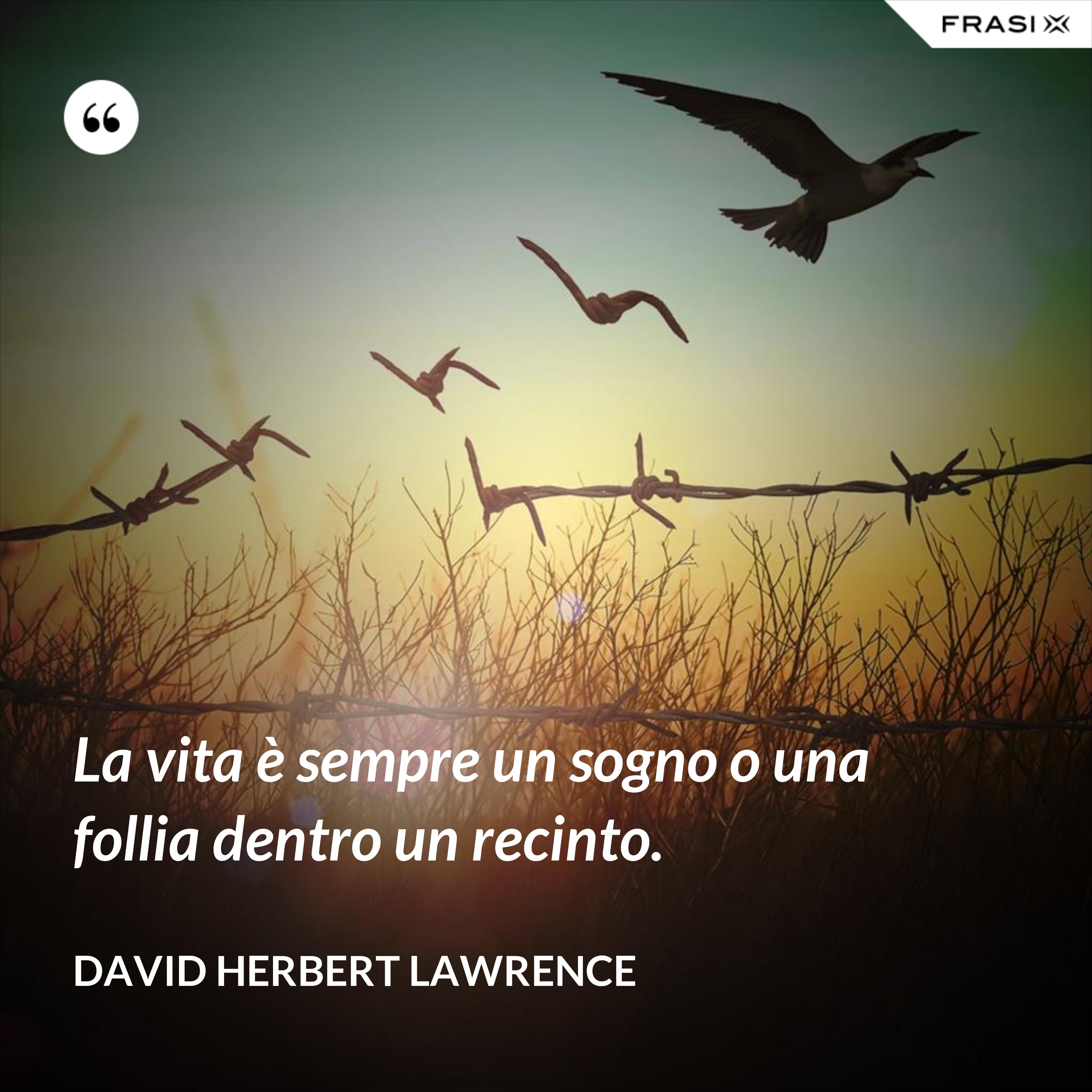 La vita è sempre un sogno o una follia dentro un recinto. - David Herbert Lawrence