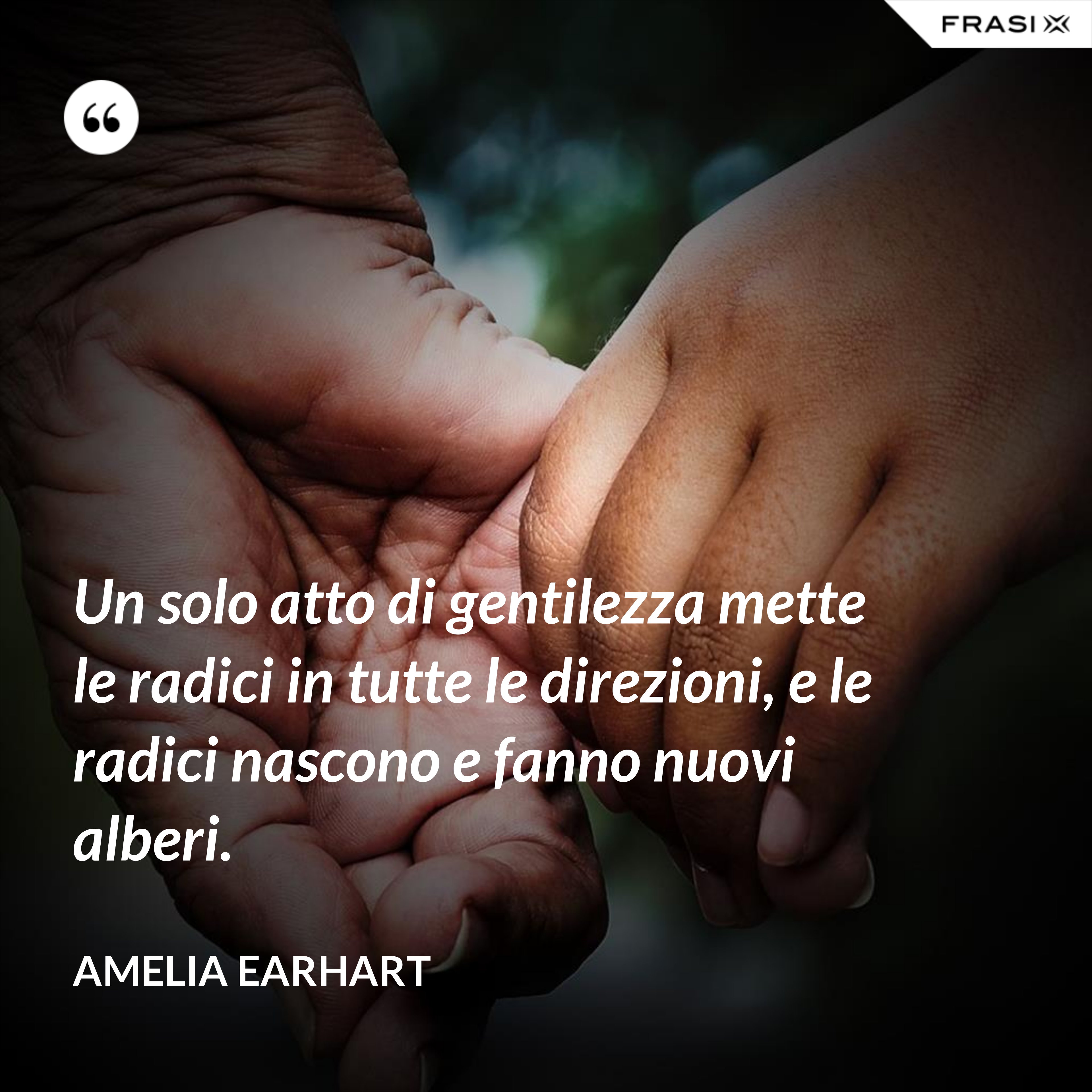 Un solo atto di gentilezza mette le radici in tutte le direzioni, e le radici nascono e fanno nuovi alberi. - Amelia Earhart