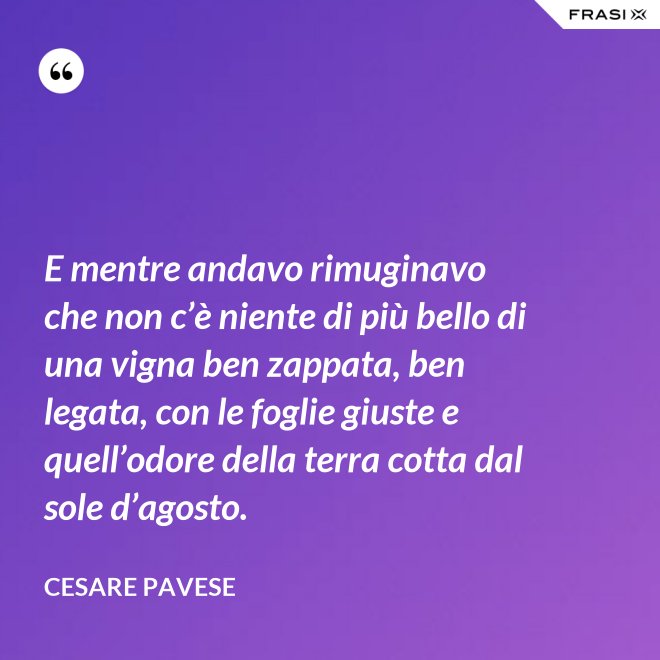 E mentre andavo rimuginavo che non c’è niente di più bello di una vigna ben zappata, ben legata, con le foglie giuste e quell’odore della terra cotta dal sole d’agosto. - Cesare Pavese
