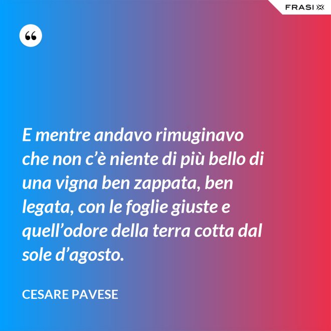 E mentre andavo rimuginavo che non c’è niente di più bello di una vigna ben zappata, ben legata, con le foglie giuste e quell’odore della terra cotta dal sole d’agosto. - Cesare Pavese