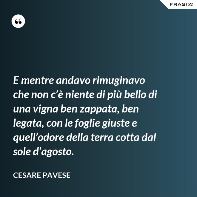 E mentre andavo rimuginavo che non c’è niente di più bello di una vigna ben zappata, ben legata, con le foglie giuste e quell’odore della terra cotta dal sole d’agosto. - Cesare Pavese