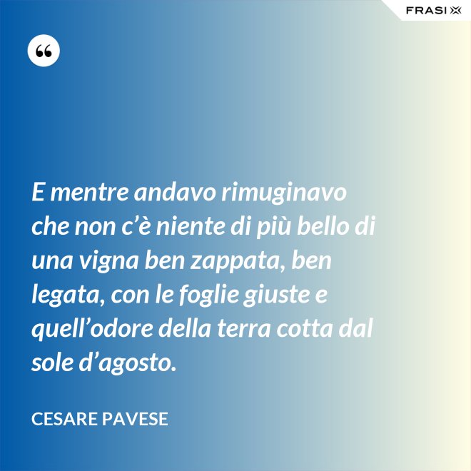 E mentre andavo rimuginavo che non c’è niente di più bello di una vigna ben zappata, ben legata, con le foglie giuste e quell’odore della terra cotta dal sole d’agosto. - Cesare Pavese