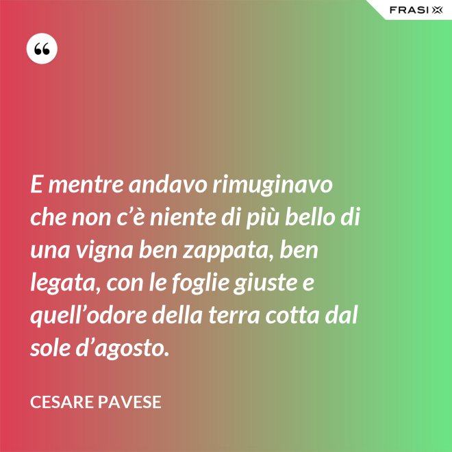 E mentre andavo rimuginavo che non c’è niente di più bello di una vigna ben zappata, ben legata, con le foglie giuste e quell’odore della terra cotta dal sole d’agosto. - Cesare Pavese