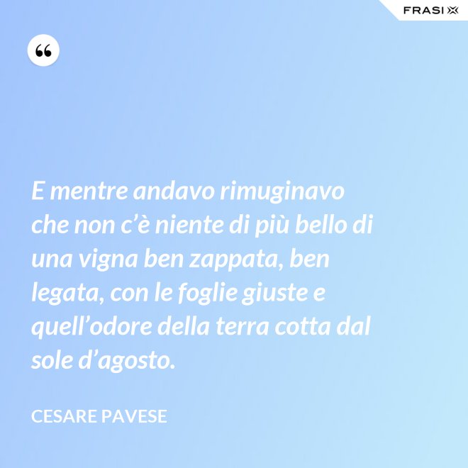 E mentre andavo rimuginavo che non c’è niente di più bello di una vigna ben zappata, ben legata, con le foglie giuste e quell’odore della terra cotta dal sole d’agosto. - Cesare Pavese