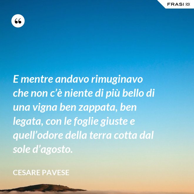 E mentre andavo rimuginavo che non c’è niente di più bello di una vigna ben zappata, ben legata, con le foglie giuste e quell’odore della terra cotta dal sole d’agosto. - Cesare Pavese