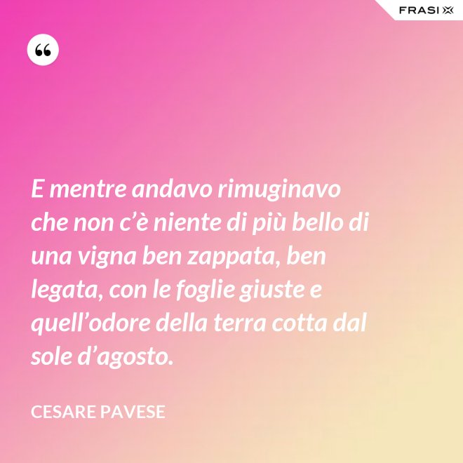 E mentre andavo rimuginavo che non c’è niente di più bello di una vigna ben zappata, ben legata, con le foglie giuste e quell’odore della terra cotta dal sole d’agosto. - Cesare Pavese