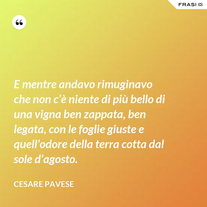 E mentre andavo rimuginavo che non c’è niente di più bello di una vigna ben zappata, ben legata, con le foglie giuste e quell’odore della terra cotta dal sole d’agosto. - Cesare Pavese