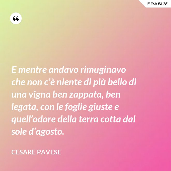 E mentre andavo rimuginavo che non c’è niente di più bello di una vigna ben zappata, ben legata, con le foglie giuste e quell’odore della terra cotta dal sole d’agosto. - Cesare Pavese