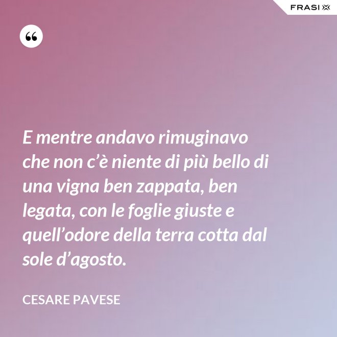 E mentre andavo rimuginavo che non c’è niente di più bello di una vigna ben zappata, ben legata, con le foglie giuste e quell’odore della terra cotta dal sole d’agosto. - Cesare Pavese