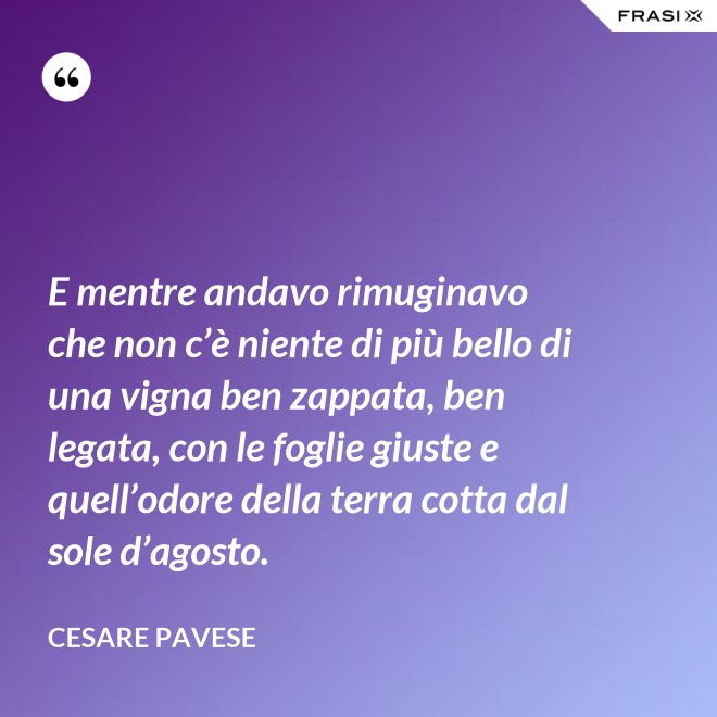 E mentre andavo rimuginavo che non c’è niente di più bello di una vigna ben zappata, ben legata, con le foglie giuste e quell’odore della terra cotta dal sole d’agosto. - Cesare Pavese