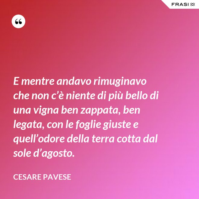E mentre andavo rimuginavo che non c’è niente di più bello di una vigna ben zappata, ben legata, con le foglie giuste e quell’odore della terra cotta dal sole d’agosto. - Cesare Pavese