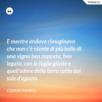 E mentre andavo rimuginavo che non c’è niente di più bello di una vigna ben zappata, ben legata, con le foglie giuste e quell’odore della terra cotta dal sole d’agosto. - Cesare Pavese