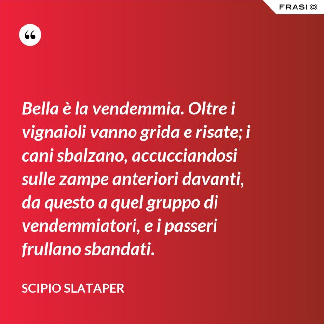 Bella è la vendemmia. Oltre i vignaioli vanno grida e risate; i cani sbalzano, accucciandosi sulle zampe anteriori davanti, da questo a quel gruppo di vendemmiatori, e i passeri frullano sbandati. - Scipio Slataper