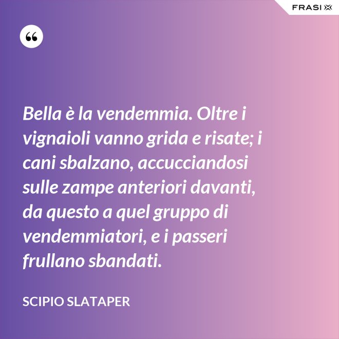 Bella è la vendemmia. Oltre i vignaioli vanno grida e risate; i cani sbalzano, accucciandosi sulle zampe anteriori davanti, da questo a quel gruppo di vendemmiatori, e i passeri frullano sbandati. - Scipio Slataper