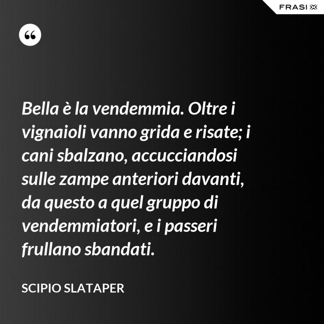 Bella è la vendemmia. Oltre i vignaioli vanno grida e risate; i cani sbalzano, accucciandosi sulle zampe anteriori davanti, da questo a quel gruppo di vendemmiatori, e i passeri frullano sbandati. - Scipio Slataper