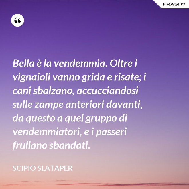 Bella è la vendemmia. Oltre i vignaioli vanno grida e risate; i cani sbalzano, accucciandosi sulle zampe anteriori davanti, da questo a quel gruppo di vendemmiatori, e i passeri frullano sbandati. - Scipio Slataper