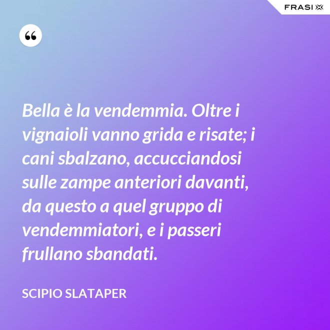 Bella è la vendemmia. Oltre i vignaioli vanno grida e risate; i cani sbalzano, accucciandosi sulle zampe anteriori davanti, da questo a quel gruppo di vendemmiatori, e i passeri frullano sbandati. - Scipio Slataper