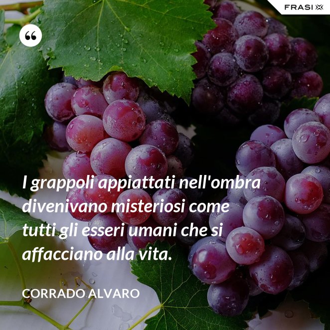 Le Frasi Sulla Vendemmia Piu Belle E Celebri Scritte Da Autori Vari