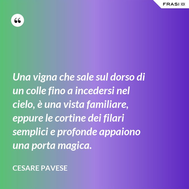Una vigna che sale sul dorso di un colle fino a incedersi nel cielo, è una vista familiare, eppure le cortine dei filari semplici e profonde appaiono una porta magica. - Cesare Pavese