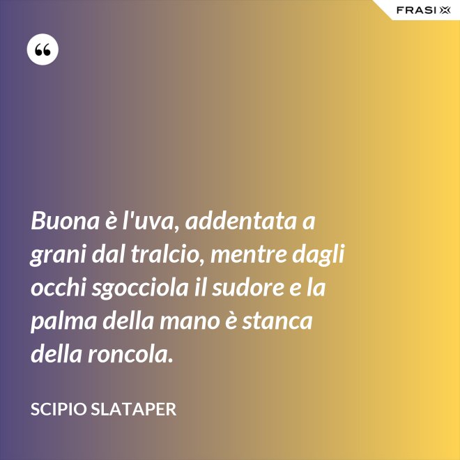 Buona è l'uva, addentata a grani dal tralcio, mentre dagli occhi sgocciola il sudore e la palma della mano è stanca della roncola. - Scipio Slataper