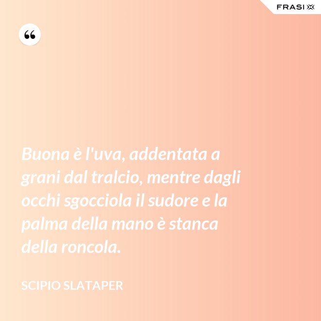Buona è l'uva, addentata a grani dal tralcio, mentre dagli occhi sgocciola il sudore e la palma della mano è stanca della roncola. - Scipio Slataper