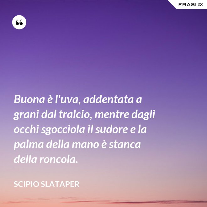 Buona è l'uva, addentata a grani dal tralcio, mentre dagli occhi sgocciola il sudore e la palma della mano è stanca della roncola. - Scipio Slataper