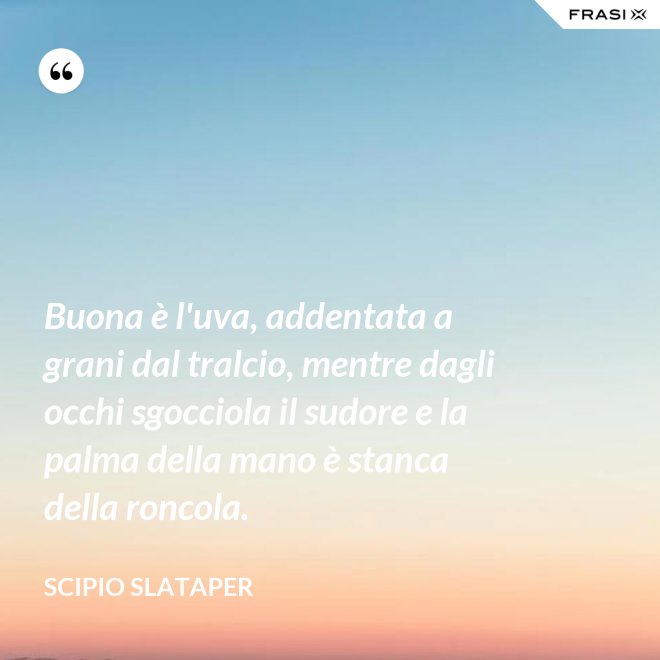 Buona è l'uva, addentata a grani dal tralcio, mentre dagli occhi sgocciola il sudore e la palma della mano è stanca della roncola. - Scipio Slataper