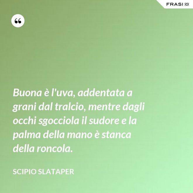 Buona è l'uva, addentata a grani dal tralcio, mentre dagli occhi sgocciola il sudore e la palma della mano è stanca della roncola. - Scipio Slataper