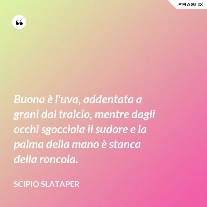 Buona è l'uva, addentata a grani dal tralcio, mentre dagli occhi sgocciola il sudore e la palma della mano è stanca della roncola. - Scipio Slataper
