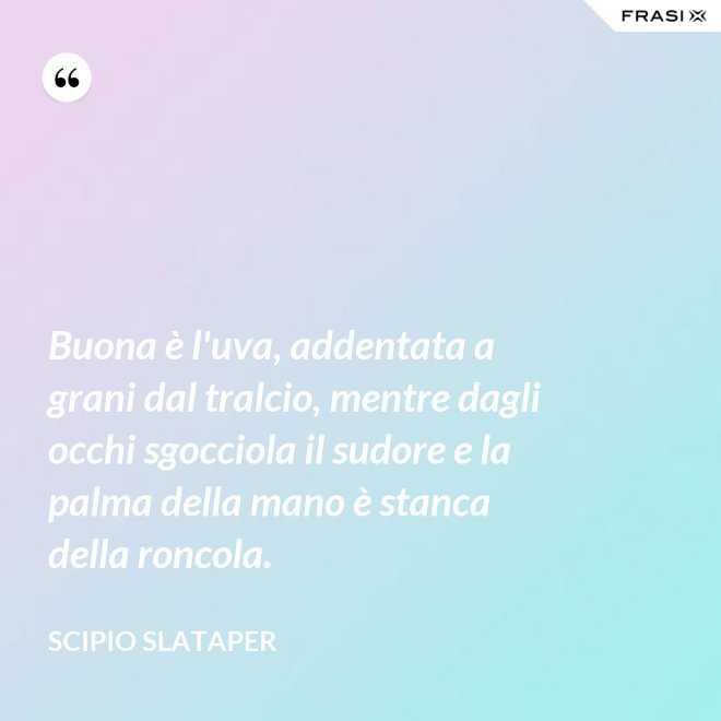 Buona è l'uva, addentata a grani dal tralcio, mentre dagli occhi sgocciola il sudore e la palma della mano è stanca della roncola. - Scipio Slataper