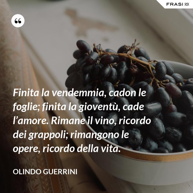 Le Frasi Sulla Vendemmia Piu Belle E Celebri Scritte Da Autori Vari