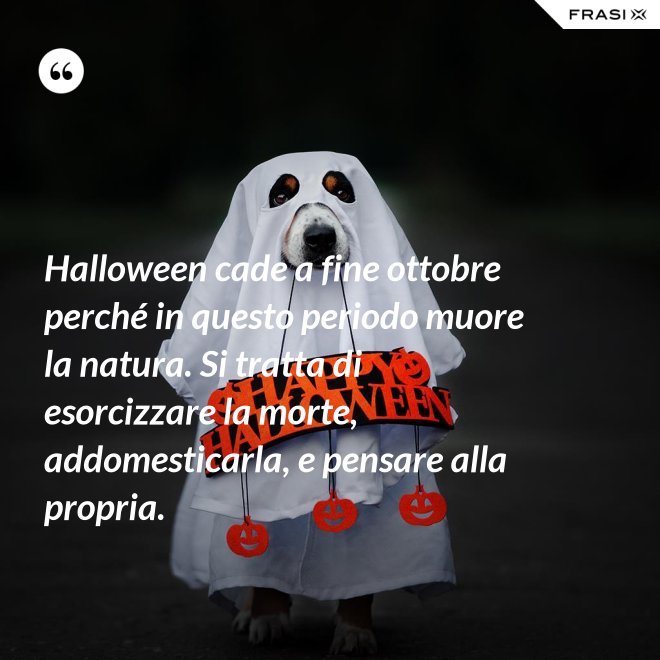 Halloween cade a fine ottobre perché in questo periodo muore la natura. Si tratta di esorcizzare la morte, addomesticarla, e pensare alla propria. - Anonimo