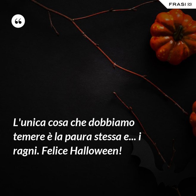 L'unica cosa che dobbiamo temere è la paura stessa e... i ragni. Felice Halloween! - Anonimo